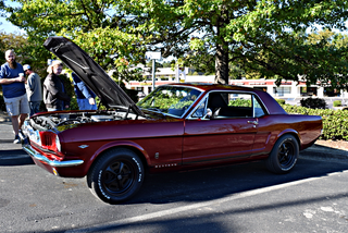 Nice looking original Mustang. Can’t complain.